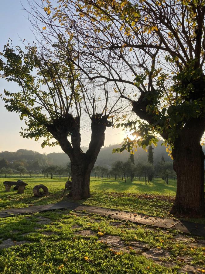 Farm stay San Michele Vicenza